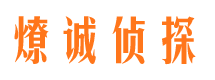 纳溪侦探